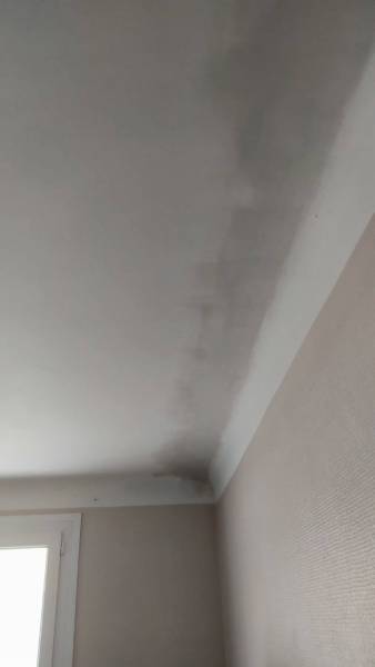 Suite de la rénovation plafond