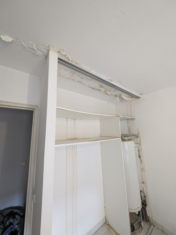   Intervention après Dégât des eaux 